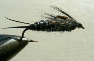 Nympf Stonefly f28