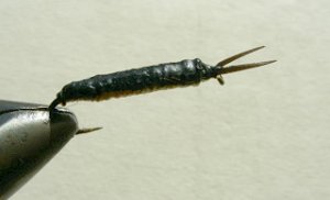Nympf Stonefly f29