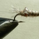 Nympf Stonefly f32