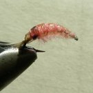 Nympf Stonefly f33