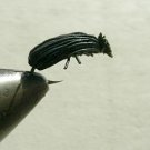 Nympf Stonefly f34