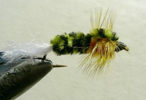 Rainbow Trout Streamer f42