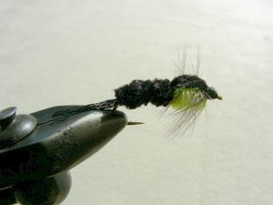 Rainbow Trout Streamer f43