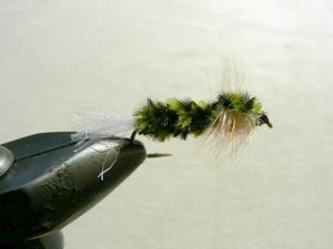 Rainbow Trout Streamer f47
