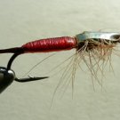 Rainbow Trout Streamer f49