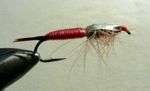 Rainbow Trout Streamer f49
