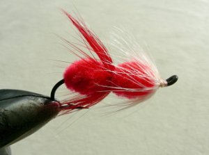 Salmon Fly f61