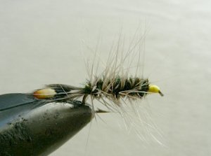 Dry Flies & Wulfs f71