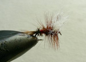 Dry Flies & Wulfs f73