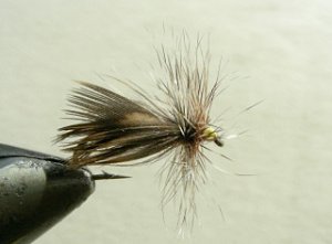 Dry Flies & Wulfs f78