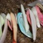 Amazon Shells Hippy Boho Necklace with Turquoise Suede Lacing Beach Retro Bohemian Island Funky Chic