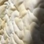 Springtime Quilt