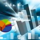Business Survey Data Entry