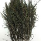 100 Peacock Feather Flue Stems Plume W/O Eye Green Floral Pick Hair Clip Fringe