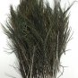 100 Peacock Feather Flue Stems Plume W/O Eye Green Floral Pick Hair Clip Fringe