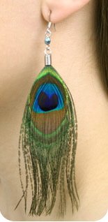 Genuine Peacock Feather Earrings