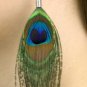 Genuine Peacock Feather Earrings