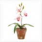 #36598 Pink Orchids In Pot
