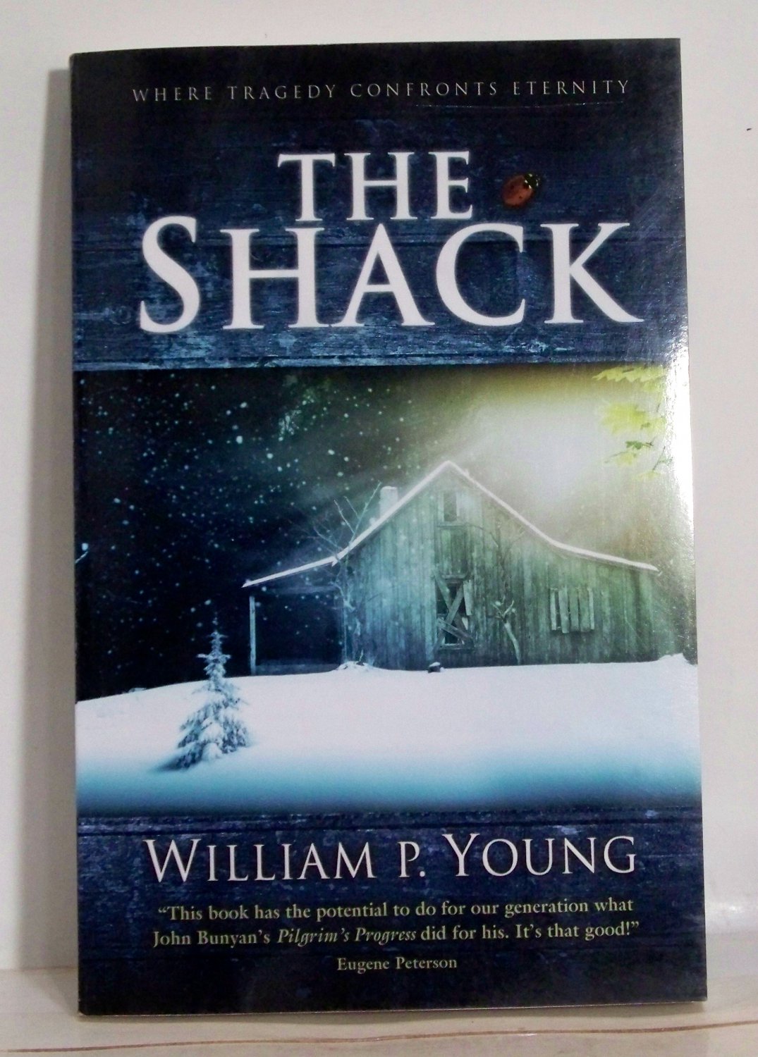 novel the shack william young
