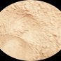 Lite Concealer