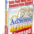 Adsense Revenue Exposed