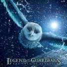Legend of the Guardians : The Owls of Ga'Hoole Advance  Original Movie Poster  Double Sided 27 X40