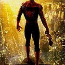 Spider-Man 2  Choice Spanish Original Movie Poster Double Sided 27 X40