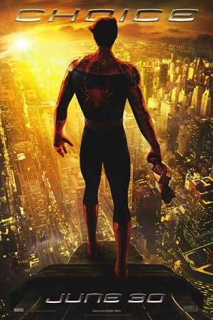Spider-Man 2  Choice Original Movie Poster Double Sided 27 X40