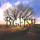 Big Fish Regular Double Sided Original Movie Poster 27x40