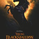 Young Black Stallion Original Movie Poster  Double Sided 27 X40