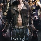 Twilight Villains Original Movie Poster Single Sided 27 X40