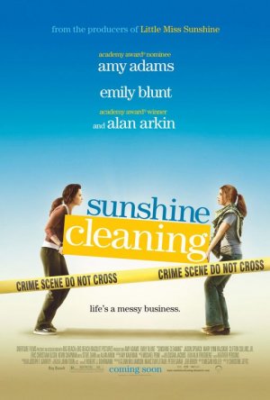 Sunshine Cleaning Original Movie Poster Double Sided 27 X40