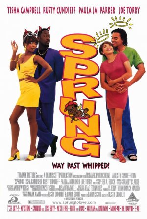 Sprung Original Movie Poster Single Sided 27 X40