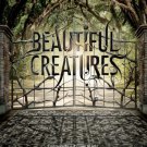 Beautiful Creatures Advance 2013 Original Movie Poster Double Sided 27 X40