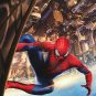 Amazing Spider-Man 2Final Original Movie Poster Double Sided 27 X40