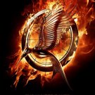 Hunger Games: Catching Fire Adv A  Original Movie Poster Double Sided 27x40