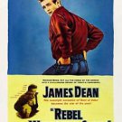Rebel Without A Cause Movie Style E Poster 13x19 inches
