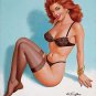 Pin Up Girl  Style Y Poster 13x19 inches