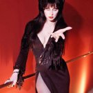Elvira Mistress of the Dark Cassandra Peterson Poster Style F 13x19 Elvira Mistress of the Dark Cassandra Peterson Poster Style F 13x19