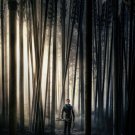 Robin Hood (2018)  Original Movie Poster Double Sided 27x40