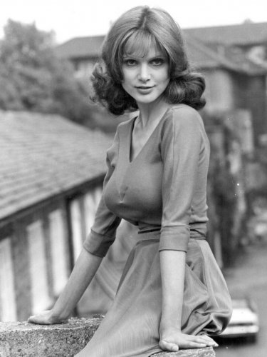 Madeline Smith Model 1970  Poster 13x19 inches