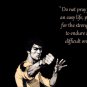 Bruce Lee Enter the Dragon   Movie Poster Style D 13x19