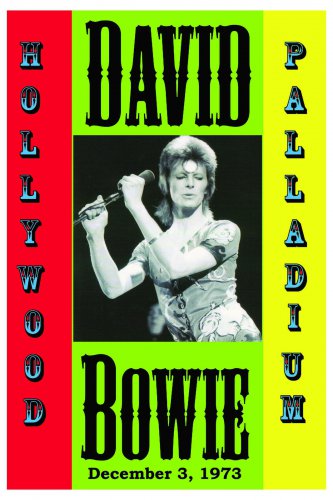 David Bowie  Poster 13x19 inches