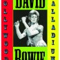 David Bowie  Poster 13x19 inches