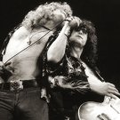 Led-Zeppelin Jimmy Page and-Robert Plant- Concert Poster  13x19 inches