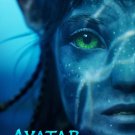 Avatar Advance Original Movie Poster  Double Sided 27 X40