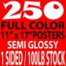 250 1 sided Glossy Posters