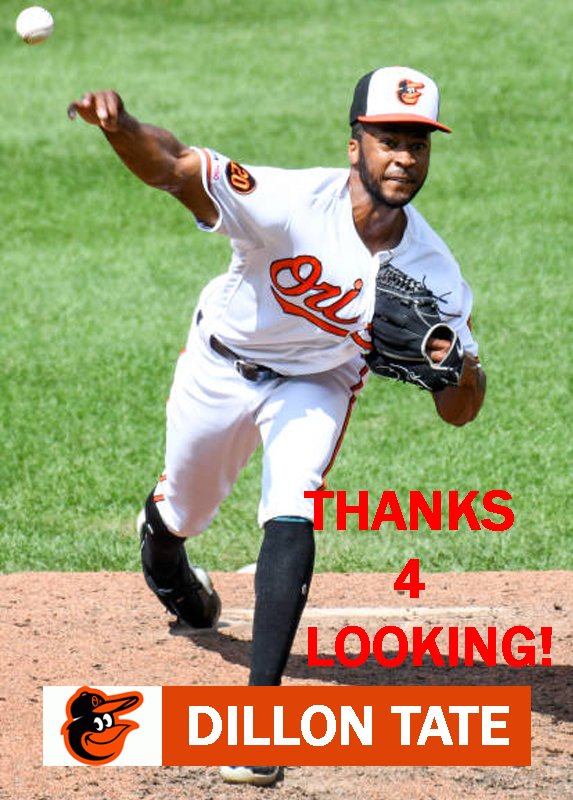 DILLON TATE 2019 BALTIMORE ORIOLES BASEBALL CARD