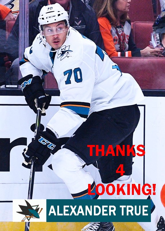 ALEXANDER TRUE 2019-20 SAN JOSE SHARKS HOCKEY CARD