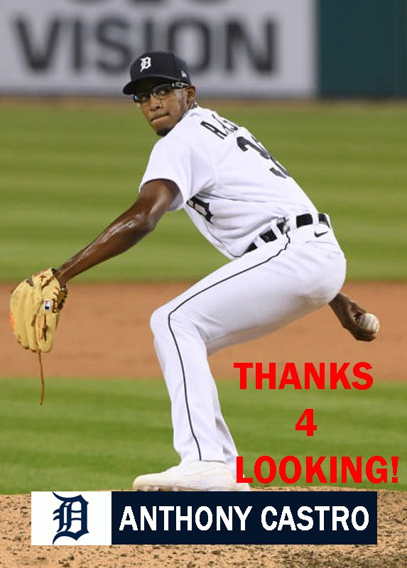 ANTHONY CASTRO 2020 DETROIT TIGERS BASEBALL CARD